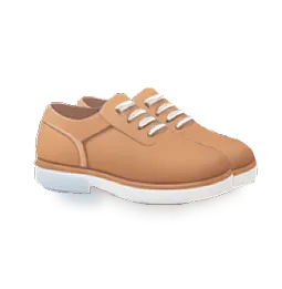 Shoe Size Converter
